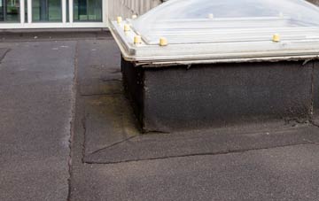 disadvantages of Broneirion flat roofs