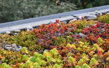 the cost of Broneirion green roof installation