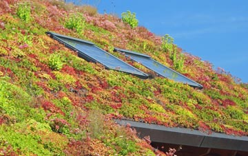 Broneirion living roof systems
