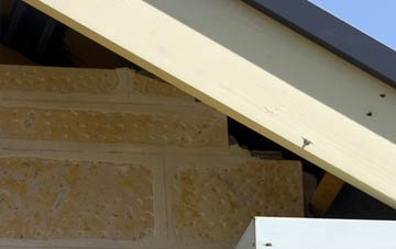 soffit repair Broneirion